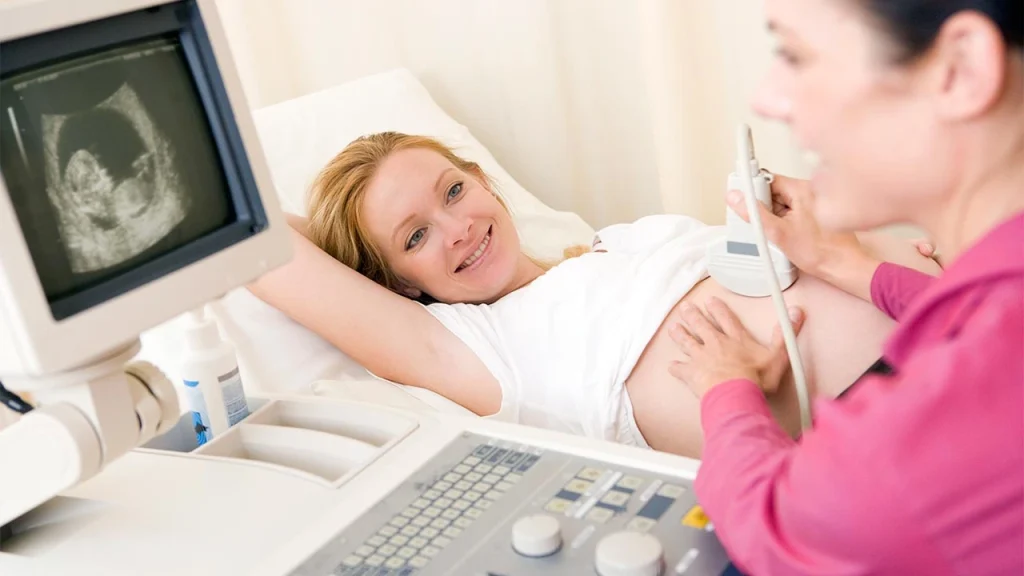 Midwife for Pre-Pregnancy Health Check